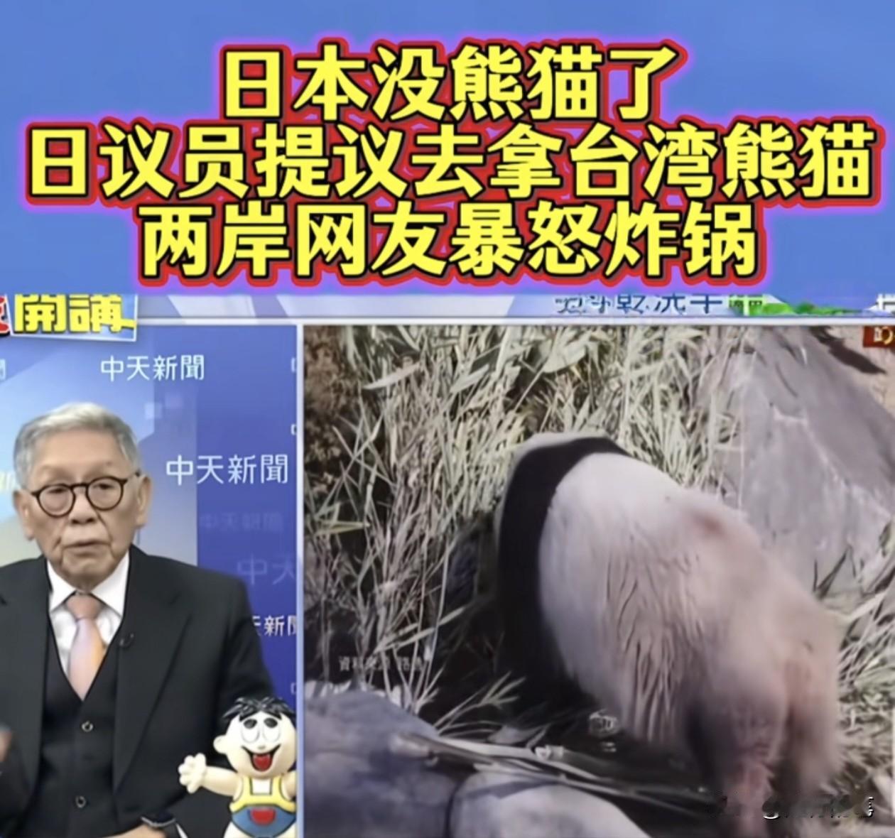 日本有议员打算向台湾要大熊猫这个事情，把台湾退将给气炸了。帅化民表示，就是因