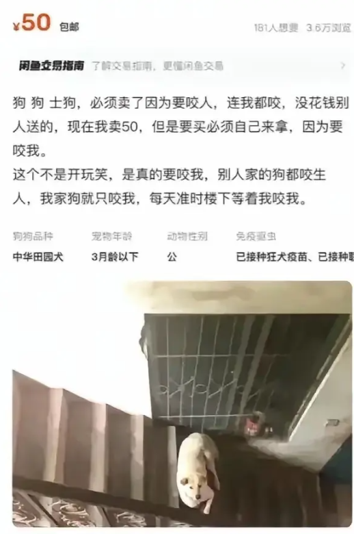 你猜他为什么只能自提？