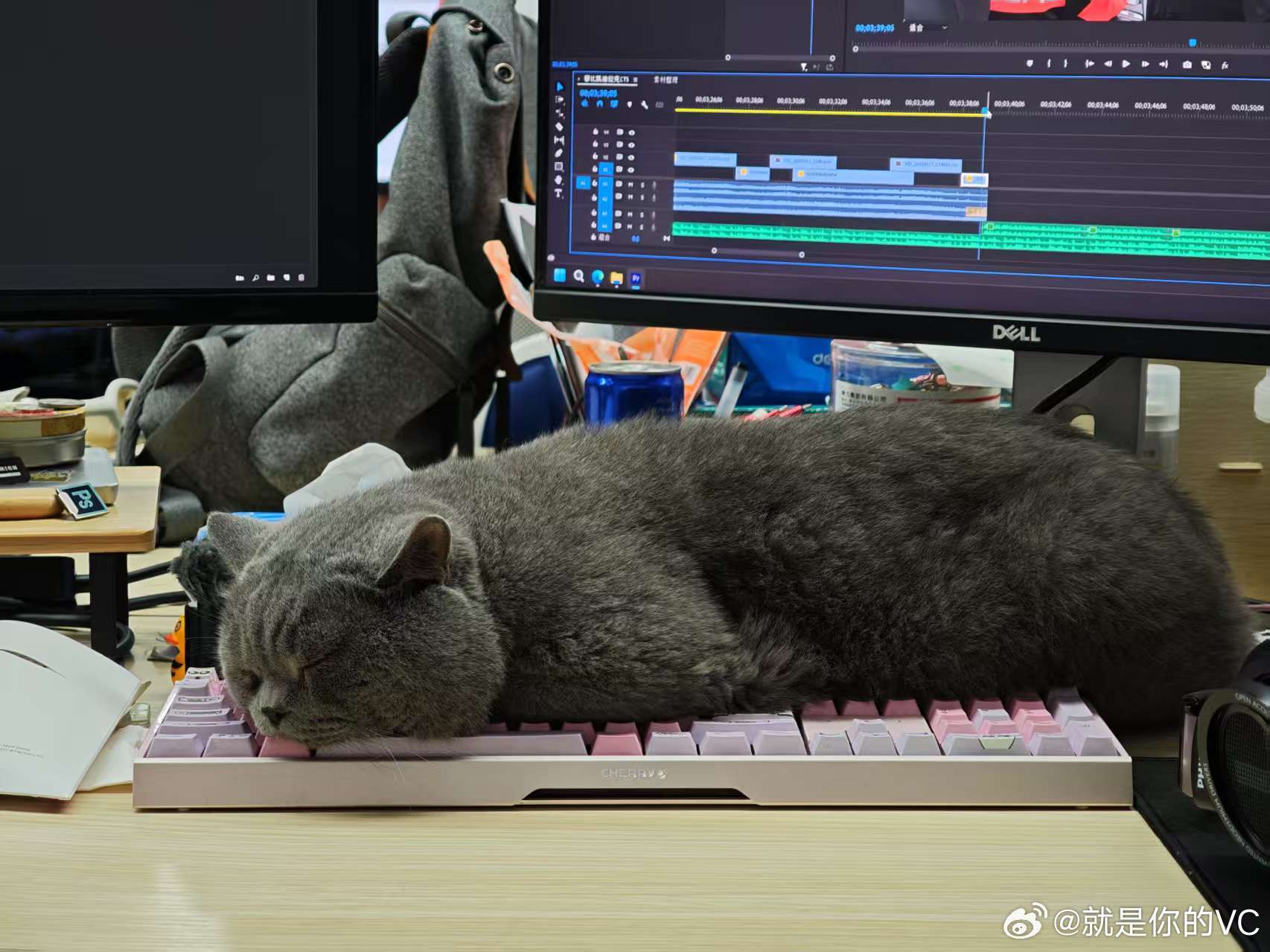 宝宝今天有点难受一看又尿闭了上麻醉最检查咯😣​​​