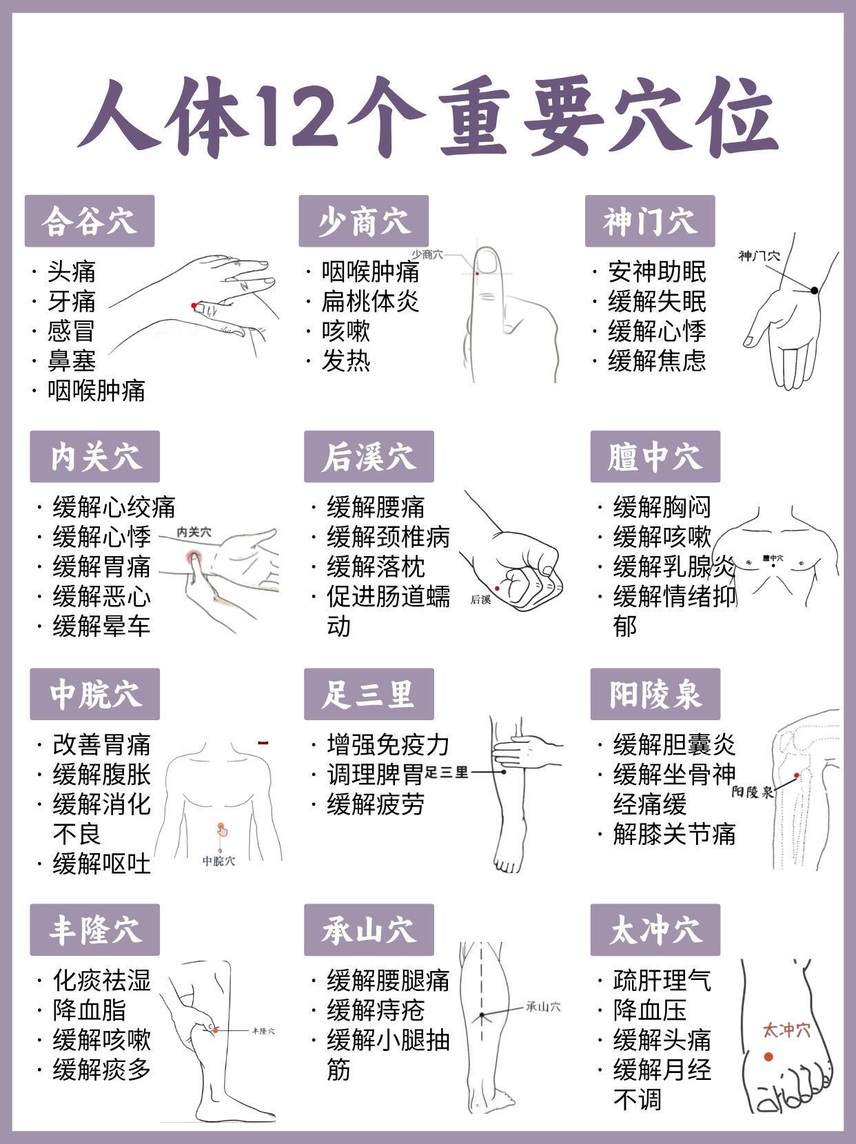 人体12个重要穴位⚠️穴位养生十二经脉循行健康养生经络疏通​​​