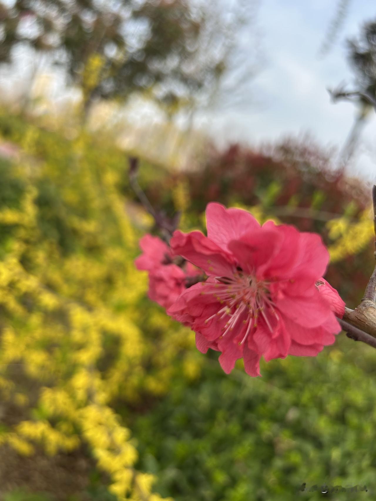 身家上亿却守着糟糠妻，这才是男人最难得的担当身边一位亲戚的事，每次想起来都特