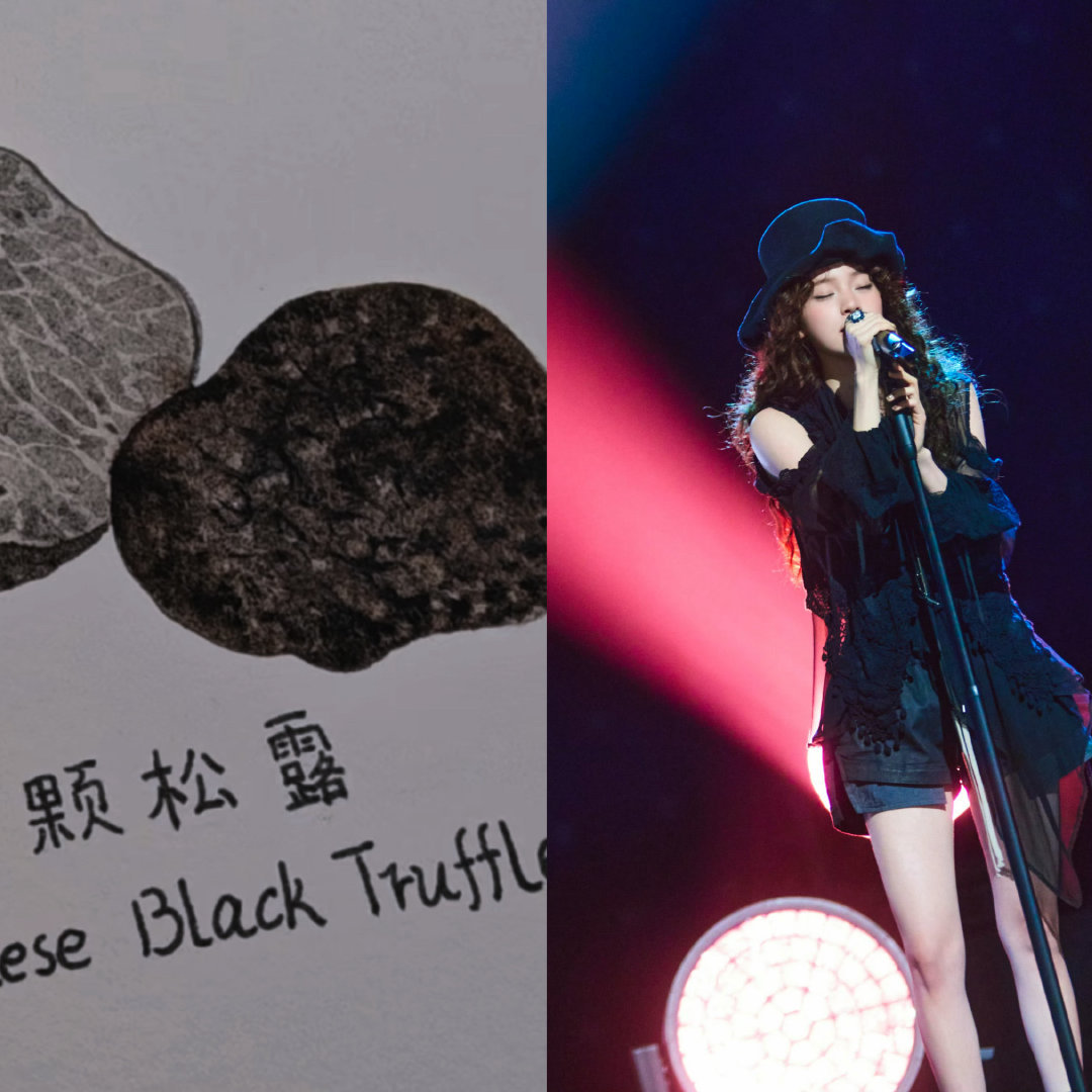 欧阳娜娜尝试了黑松露穿搭欧阳娜娜在穿搭这块就没输过！！声生不息最新的穿搭好像一