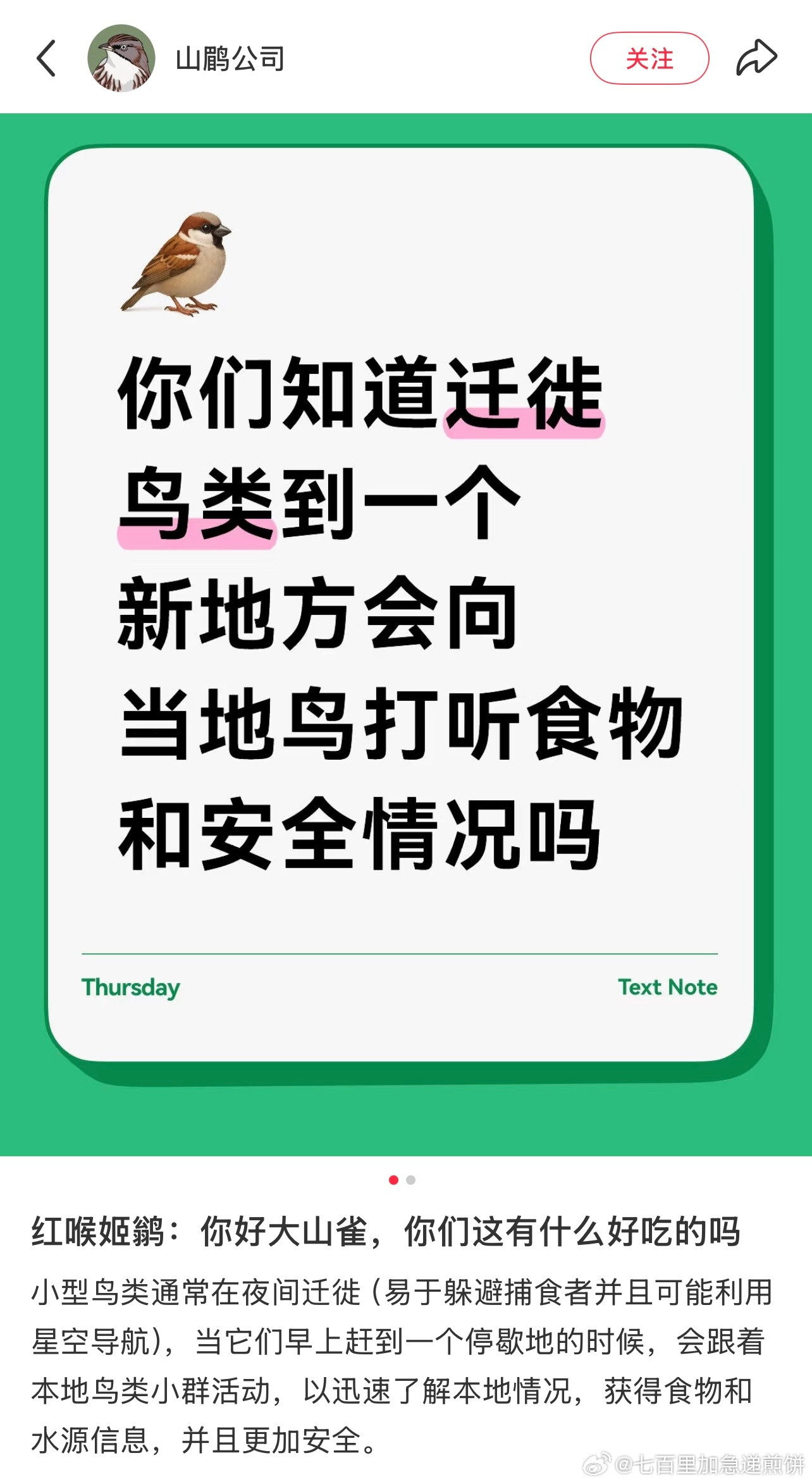 在🍠上看到小鸟的帖子，它们会相互打听诶！太可爱了​​​