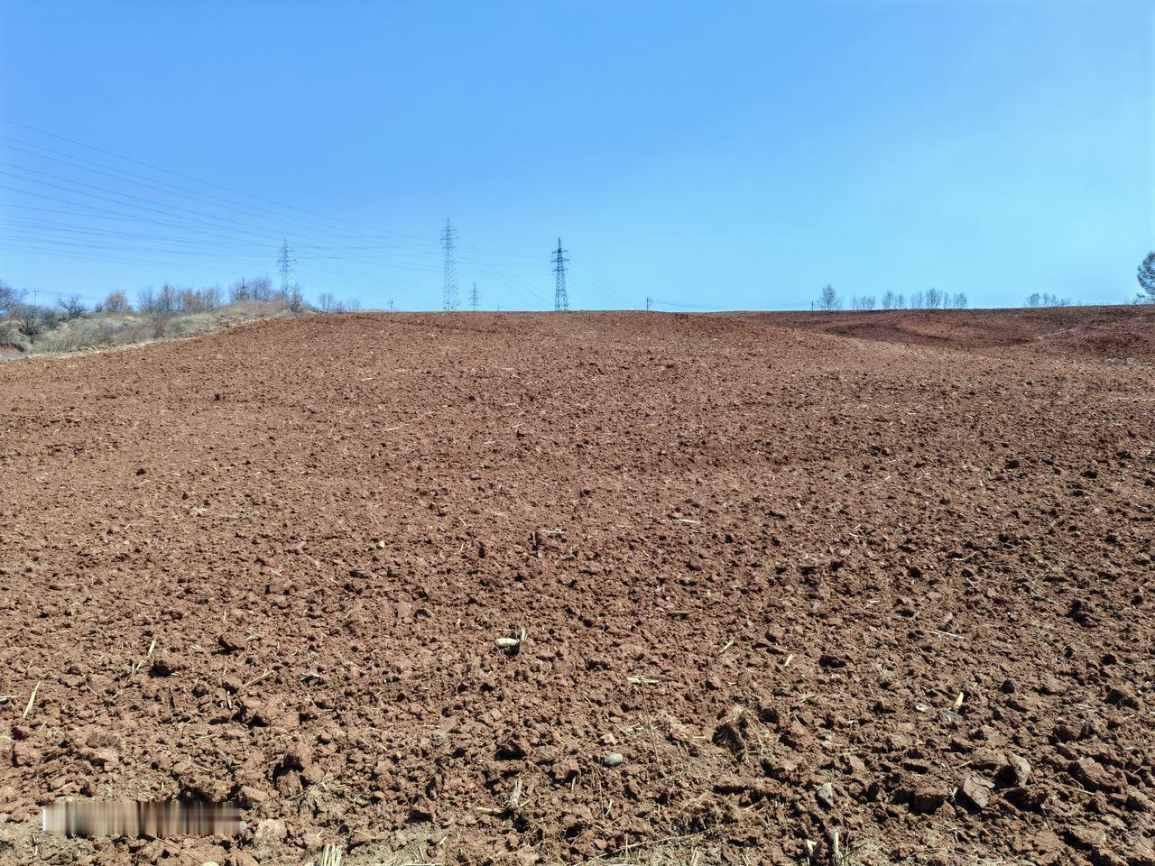 没事溜达，随手一拍。