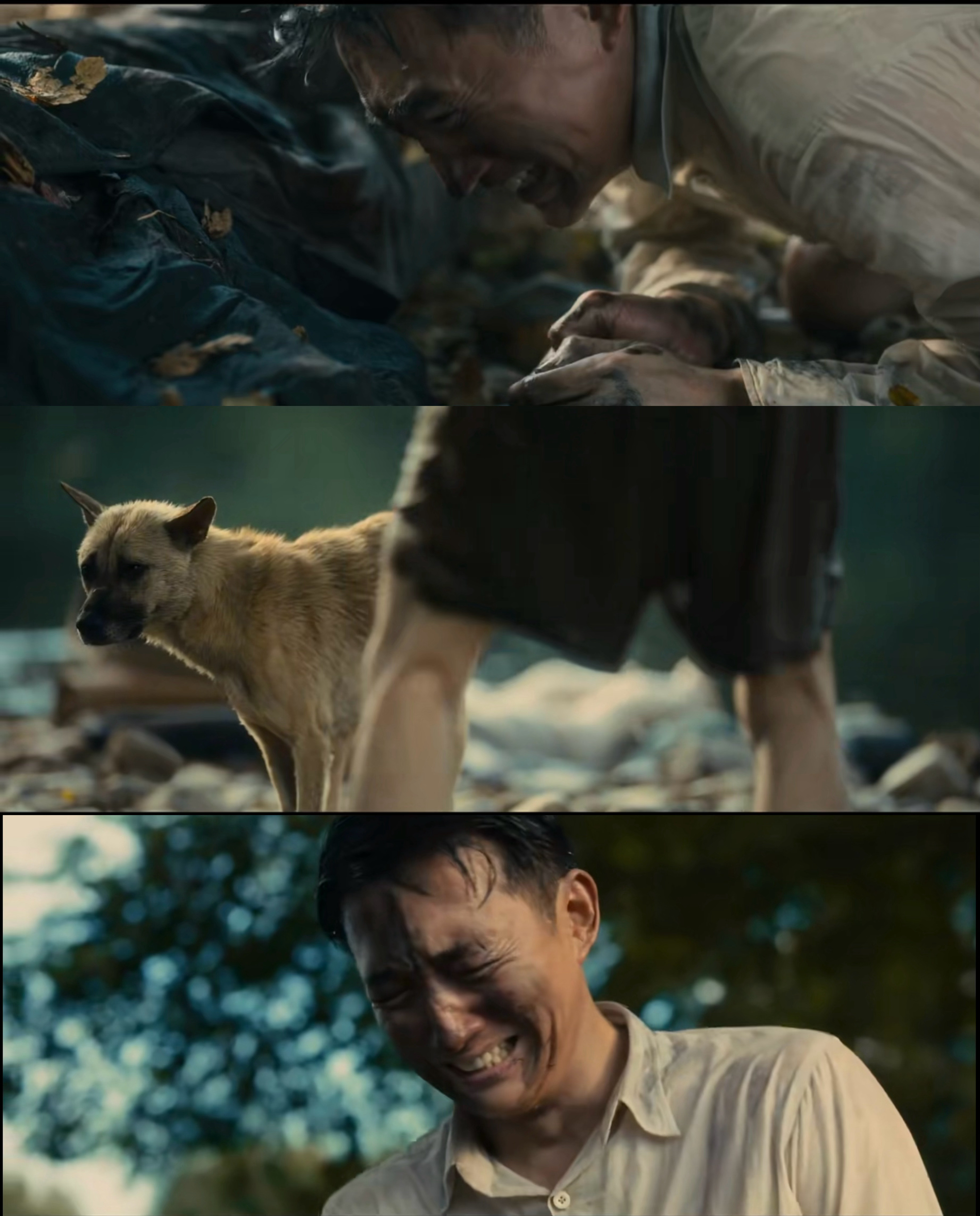 这两天追《八千里路云和月》，真心推荐大家去看一下，这才是国产剧的真·细糠。别以为