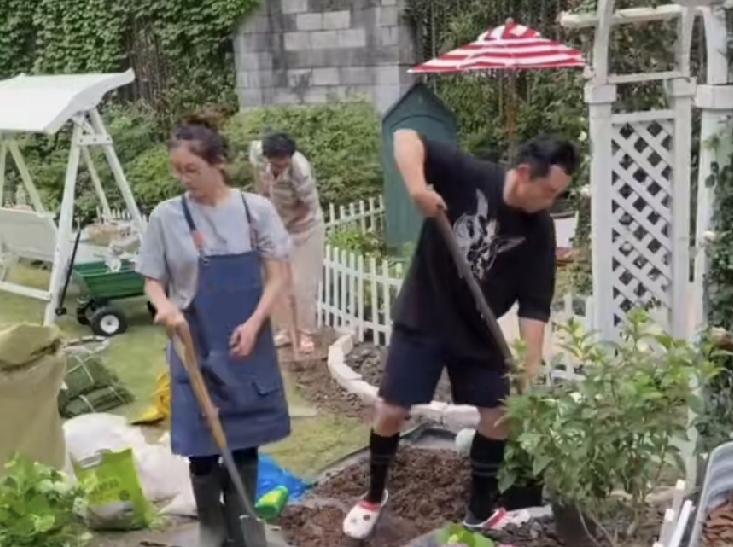 郑恺是永远不会离婚的，原因很简单，不是因为他苗苗给他生了三个孩子，而是苗苗给