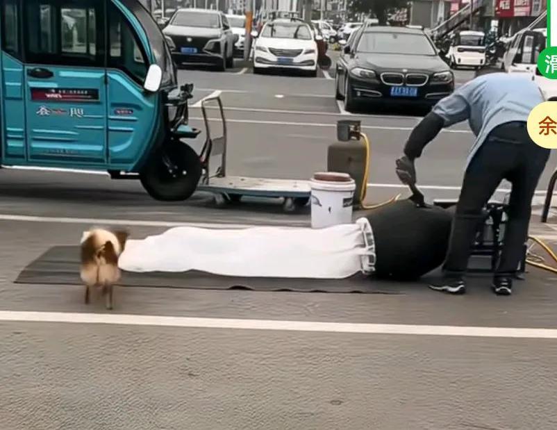 男子在爆米花，狗子在旁边被炸的瑟瑟发抖，导致车仰狗翻，你说也是，人家爆米花，