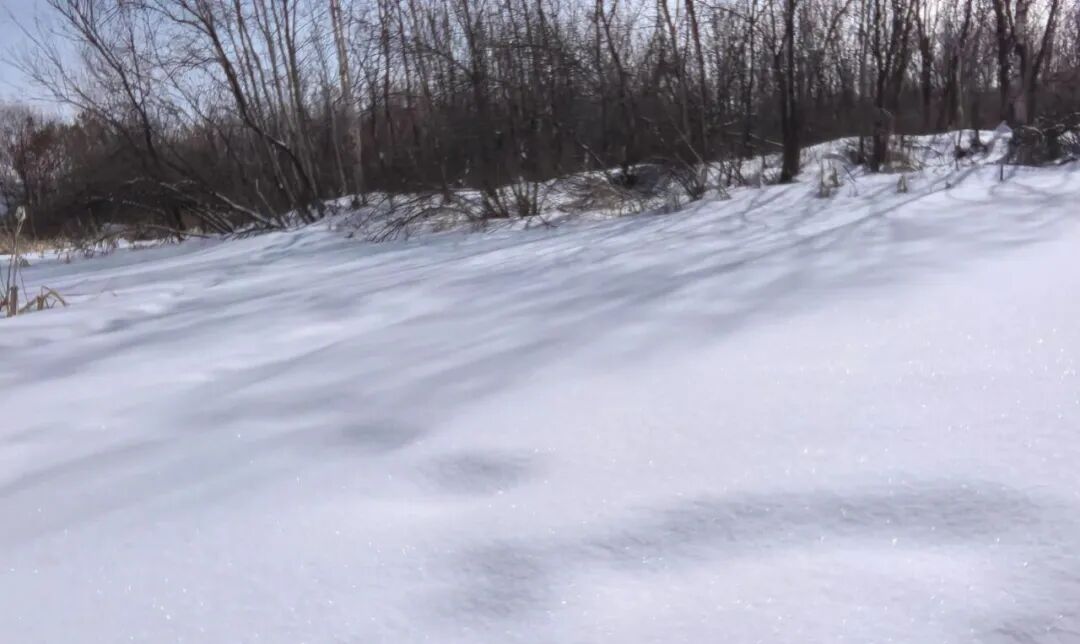 蘅东光申购前瞻