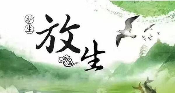 畜生道的众生受三皈依有什么好处？在佛教教义中，为畜生道众生受三皈依被认为有以