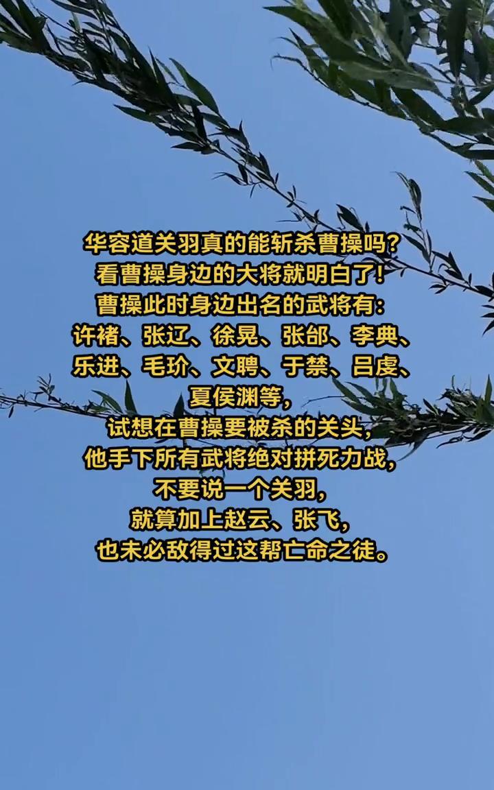 华容道关羽真的能斩杀曹操吗？看曹操身边的大将就明白了！曹操此时身边出名的武将有