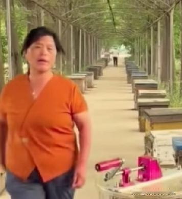 小故事！半熟他妈真的不要脸，今天就说说老壳子。这老壳子的视频都是演