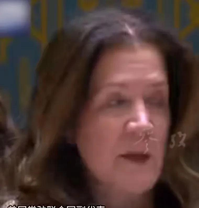 “你的发言格格不入！”耿爽怒怼美国代表就是霸气！这就是美国常驻联合国的副代表谢伊