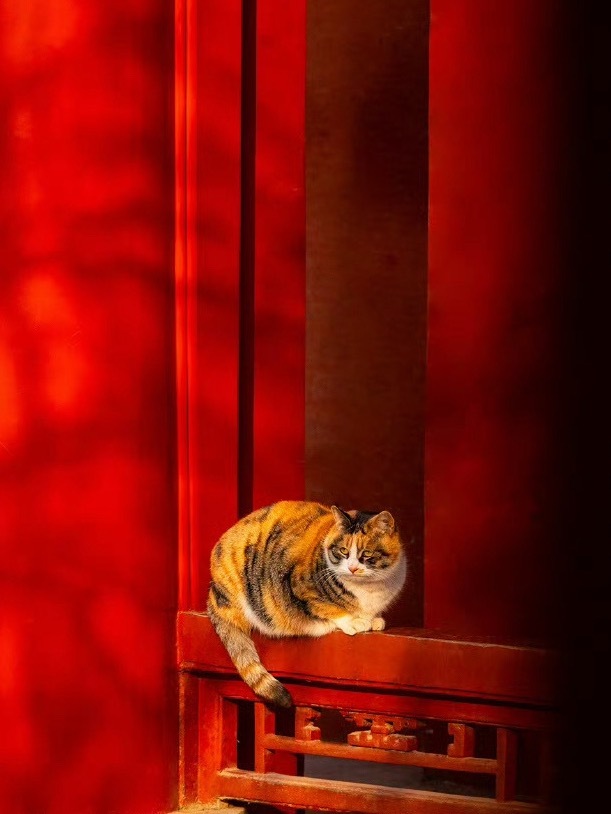 热气腾腾的中国年希望大家都岁岁安康、阖家欢乐、顺风顺水、满载而归……除夕到，每一