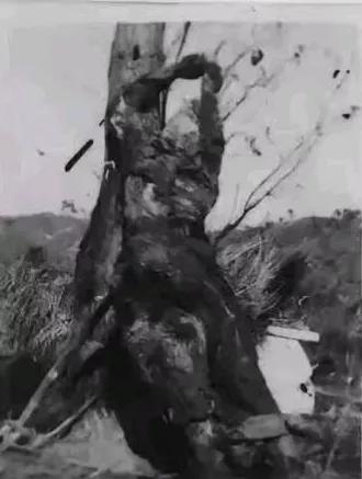这是令无数国人动容的照片。这张珍贵的照片，是原志愿军45师前线指挥所秘书谢万
