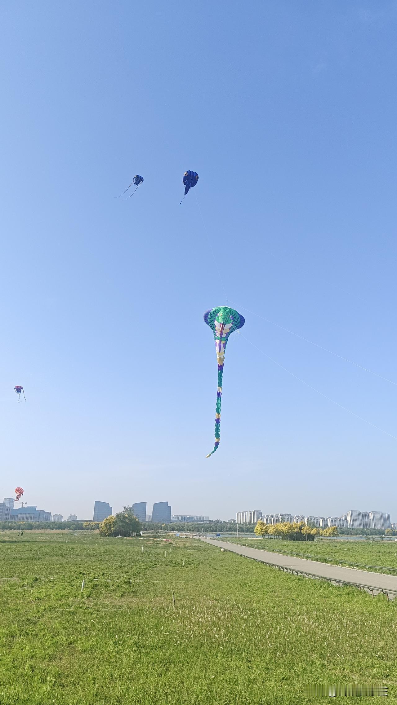 滹沱河变化真大，以前就是一条野河，非常狂野，河边都是石头，河滩淤泥很多。经过多