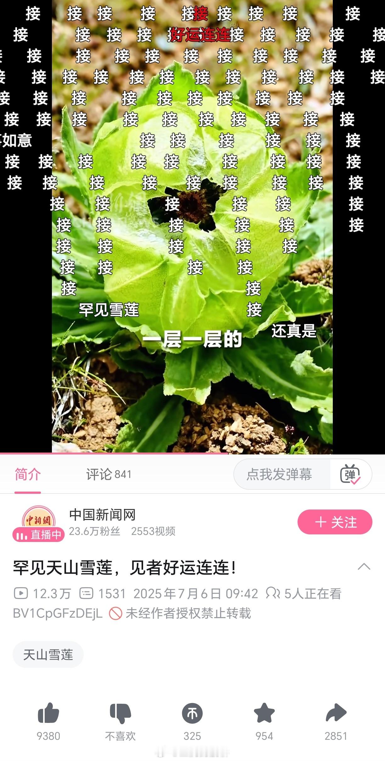 奇怪，为什么我看到这个标题的时候，耳边就立刻响起了一段声音…[思考]​​​