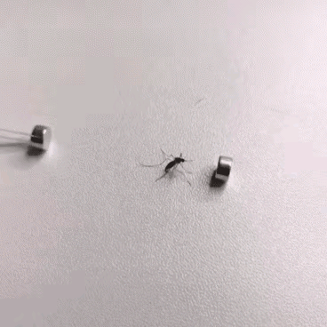 不讲武德[捂脸哭]