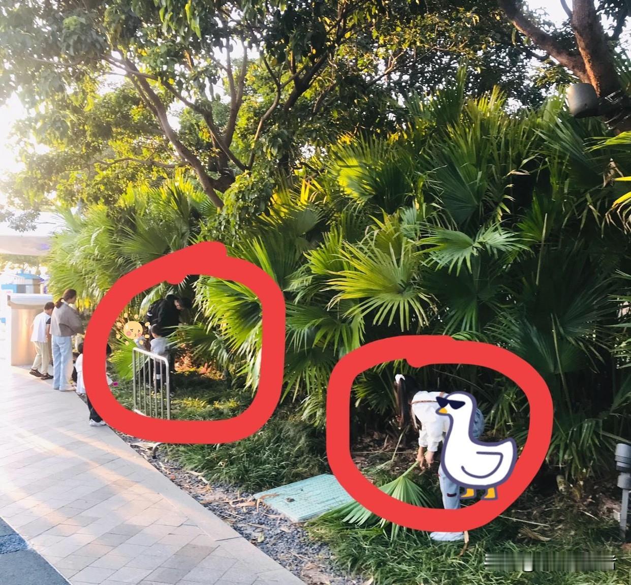 真丢脸[捂脸哭]，21日全运会刚闭幕，24日周末，欢乐港湾就迎来了人流的高峰。很多