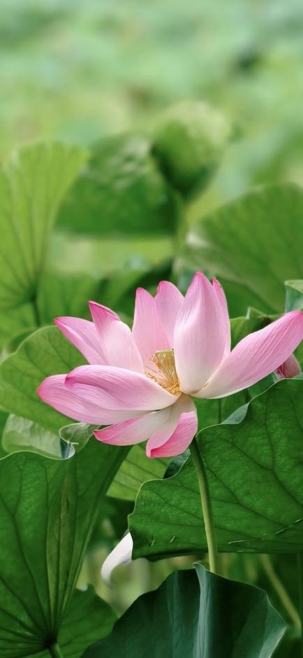 昨日（7月26日），北京二手房数据来了！后附“五”点小观察！昨日，北京市二手