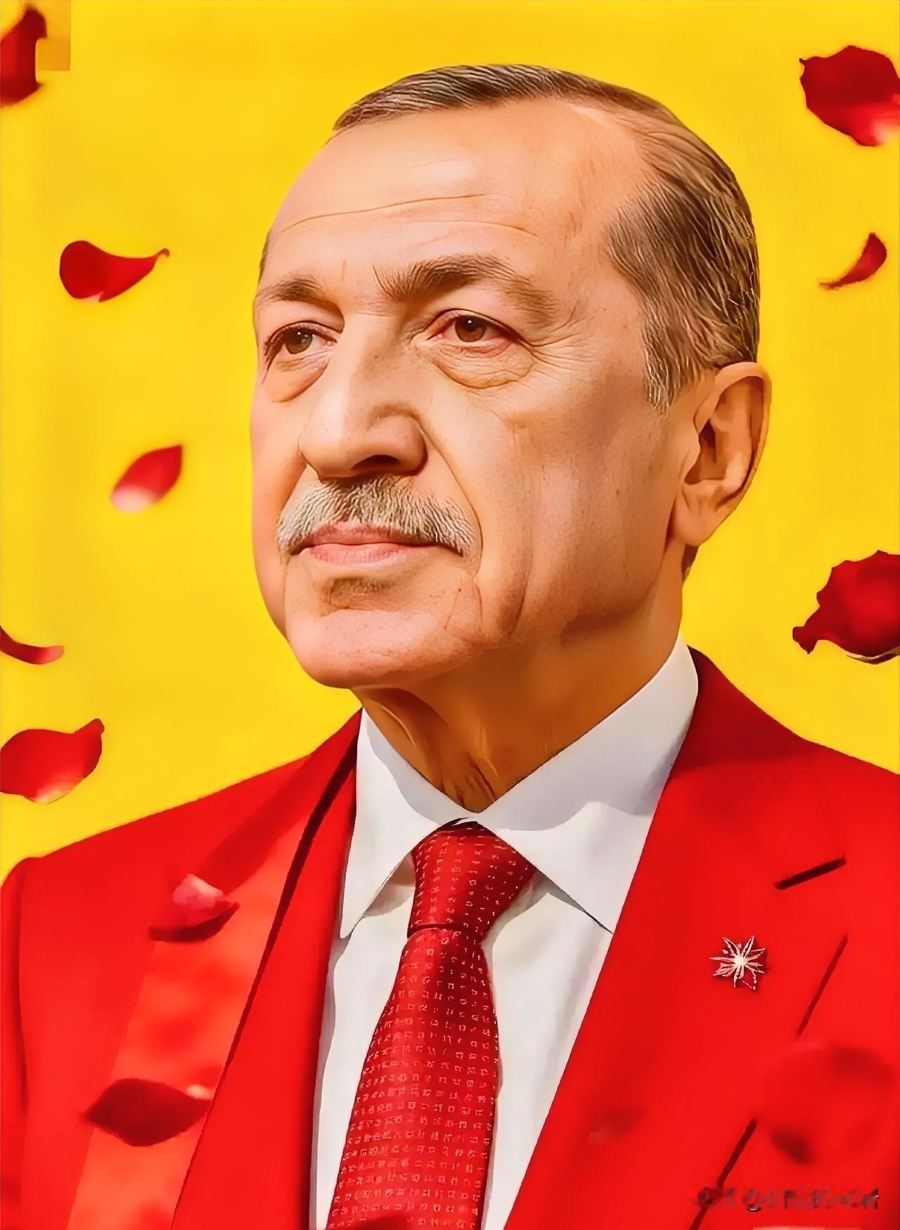 就在刚刚土耳其航空正式宣布2025年11月6日，土耳其航空正式宣布，已与