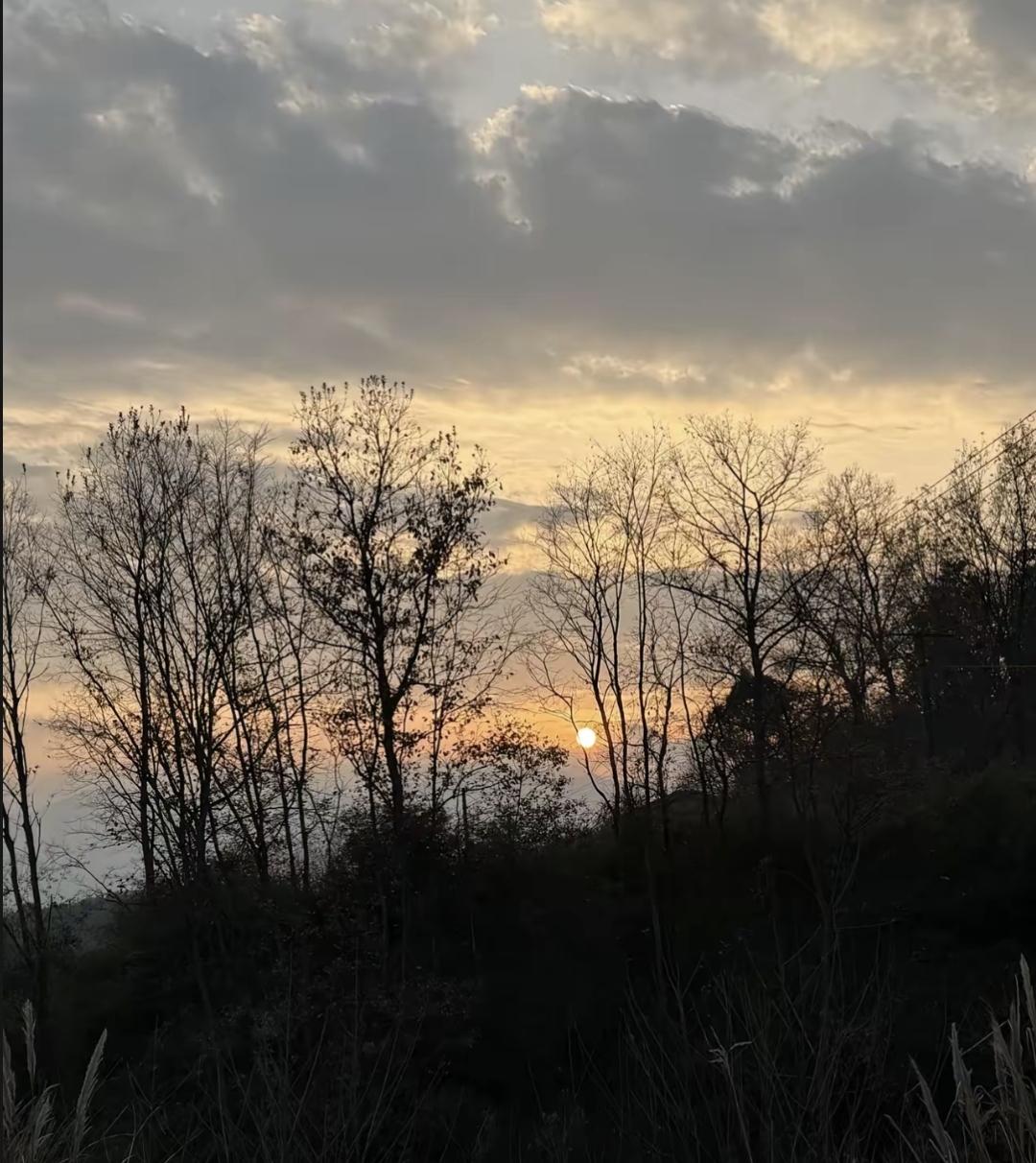 最近我爸总往医院跑，腰不行，脖子僵，血糖高，觉也睡不好。他以前不这样，天天锻炼，