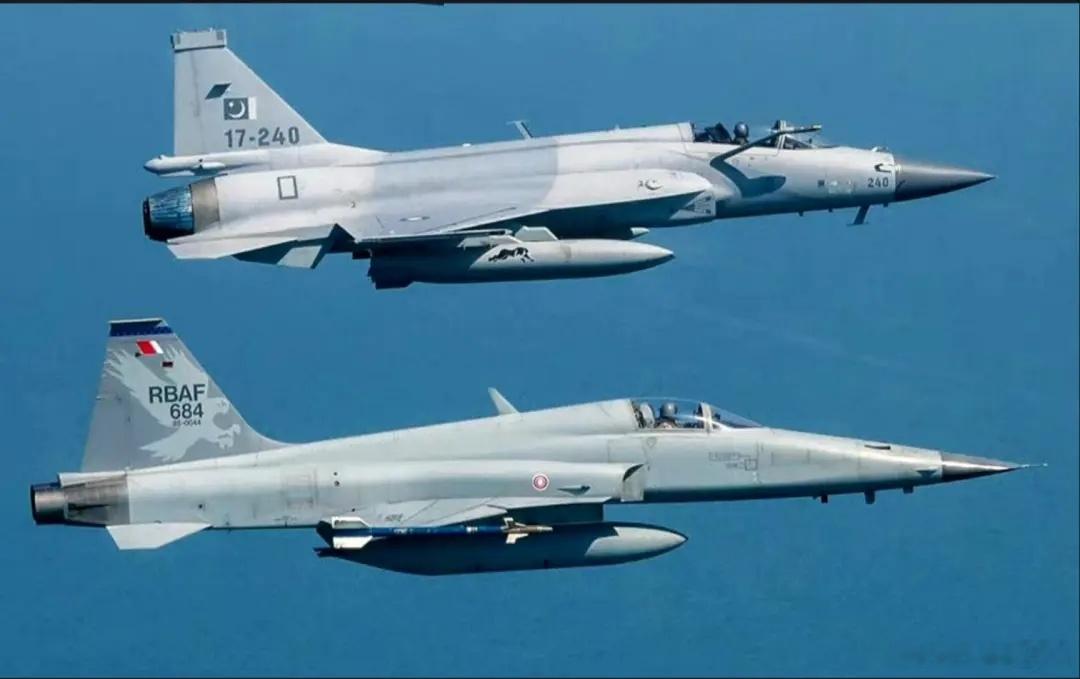 F5这两侧进气道，再往外是边条，单垂尾。。。换成单发的F20，就更枭龙了。。。