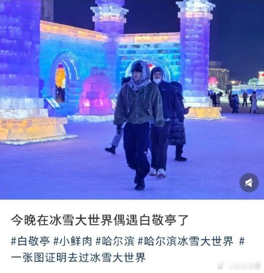 白敬亭去冰雪大世界了有网友偶遇白敬亭去了哈尔冰冰雪大世界了，一大早给我羡慕醒了老