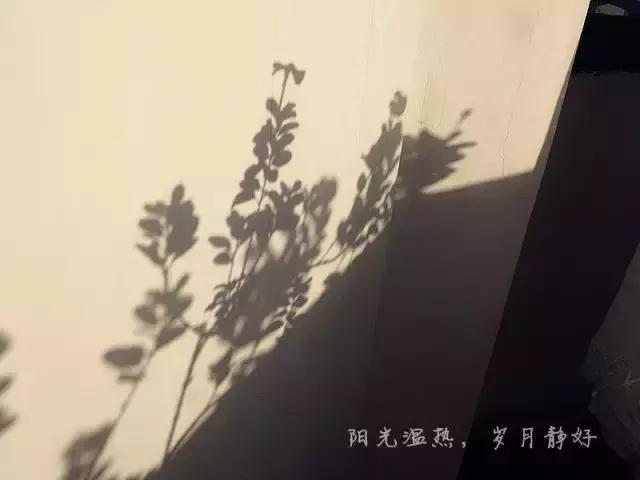 你的生活, 没期望的那么好, 也非认为的那么糟