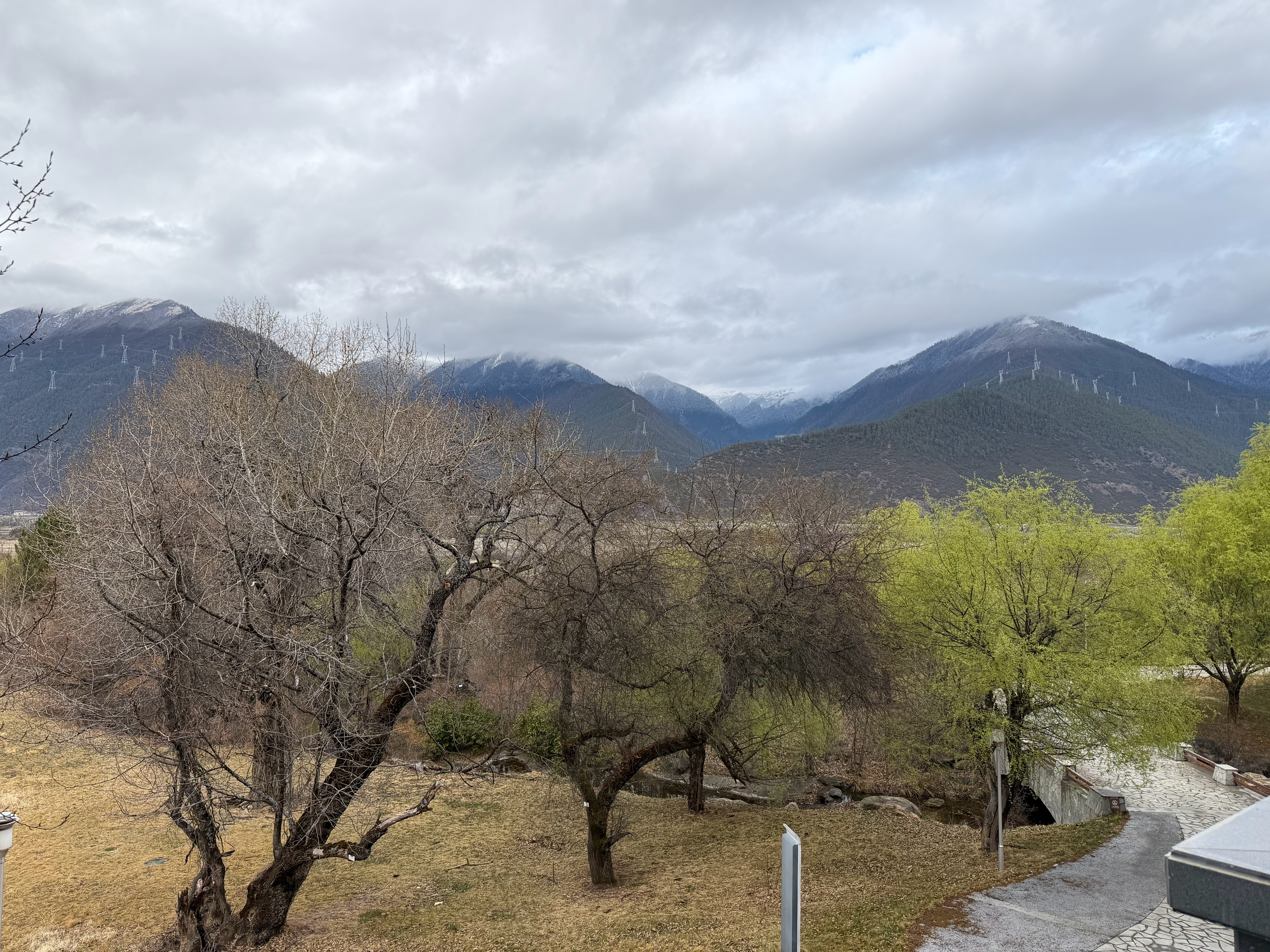 早上好啊，开窗见雪山林芝