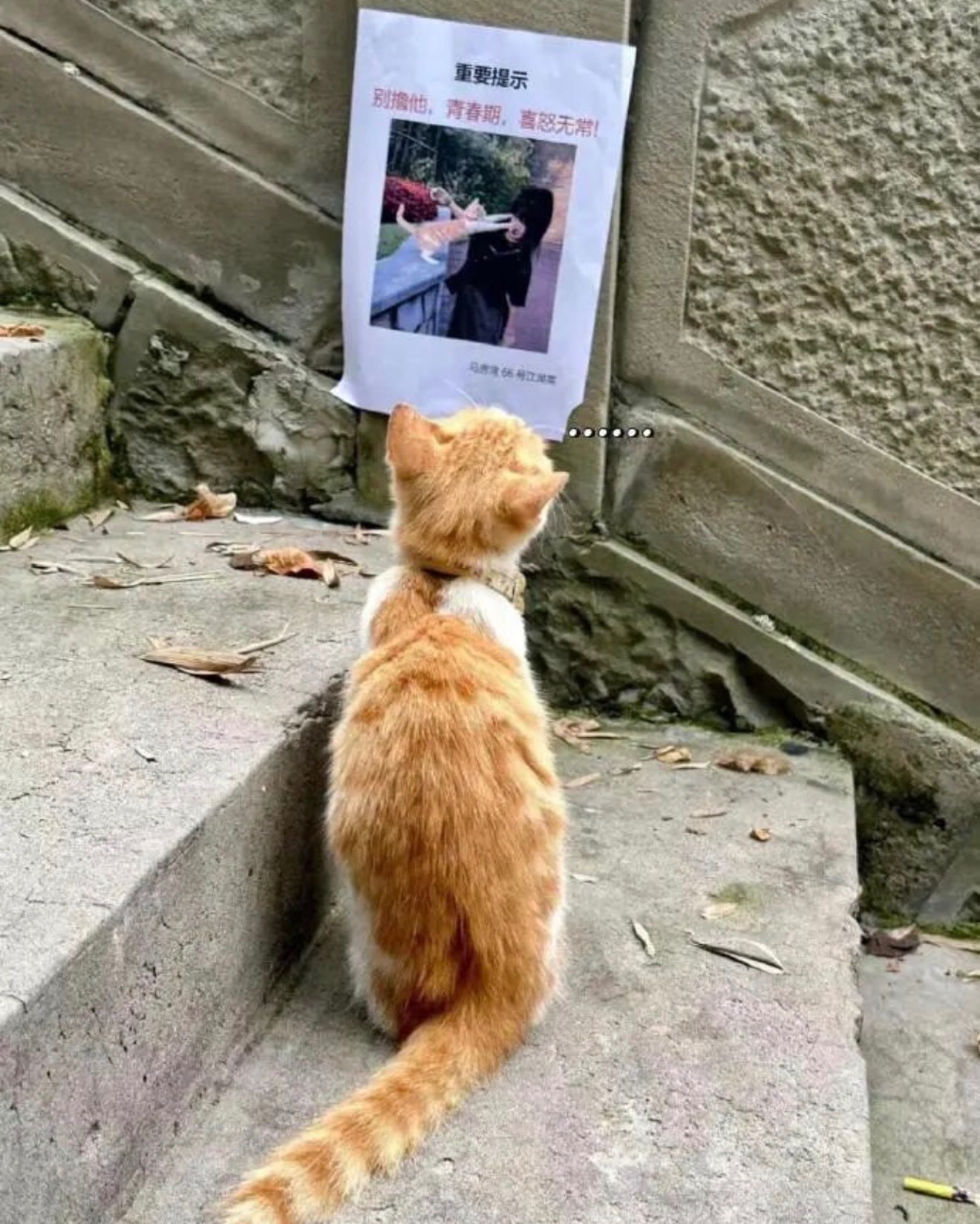 干嘛…