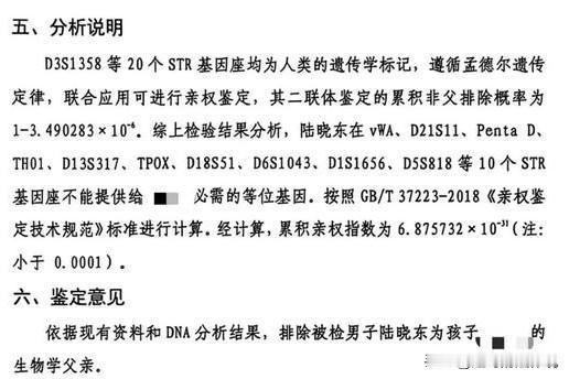 广西博白，一对老夫妇的儿子因车祸离世，随后他们就发现了一个令人崩溃的事实：养了8