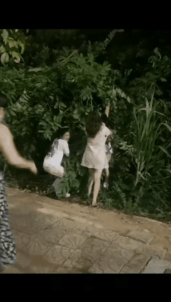 三个以上女人在一起准没好事儿又在做啥妖