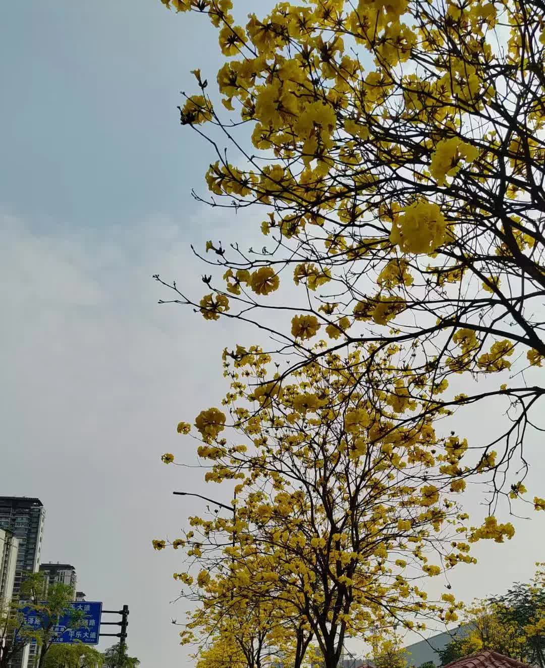 还没去新疆，去某个平台定个酒店就挨坑了。订316元一晚，两晚，不能退款，刚下单付