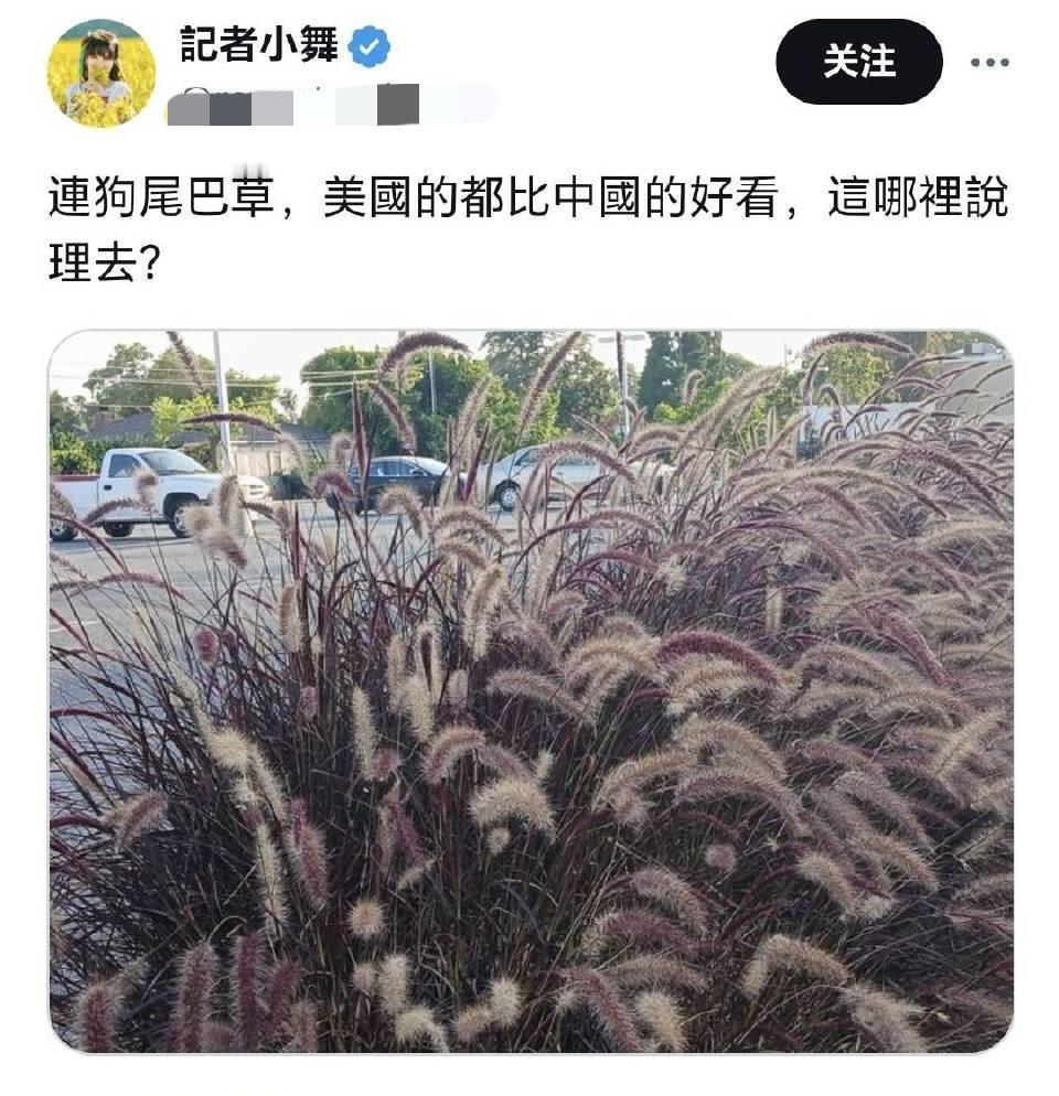 笑死了！一个网名叫“记者小舞”的网民，润去美国送外卖，但自称在国内是媒体人的，结