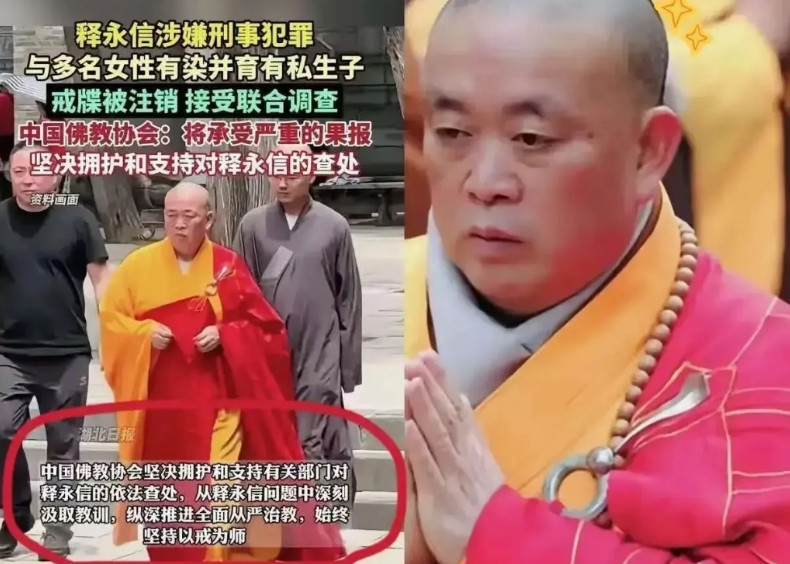 我终于明白释永信为什么倒台了。不是因为十年前释延鲁举着身份证举报他包养情妇、