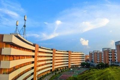 最近网上有个呼声特别猛，说干脆关停国内六成的大学，再一口气砍掉一半的大学专业。听