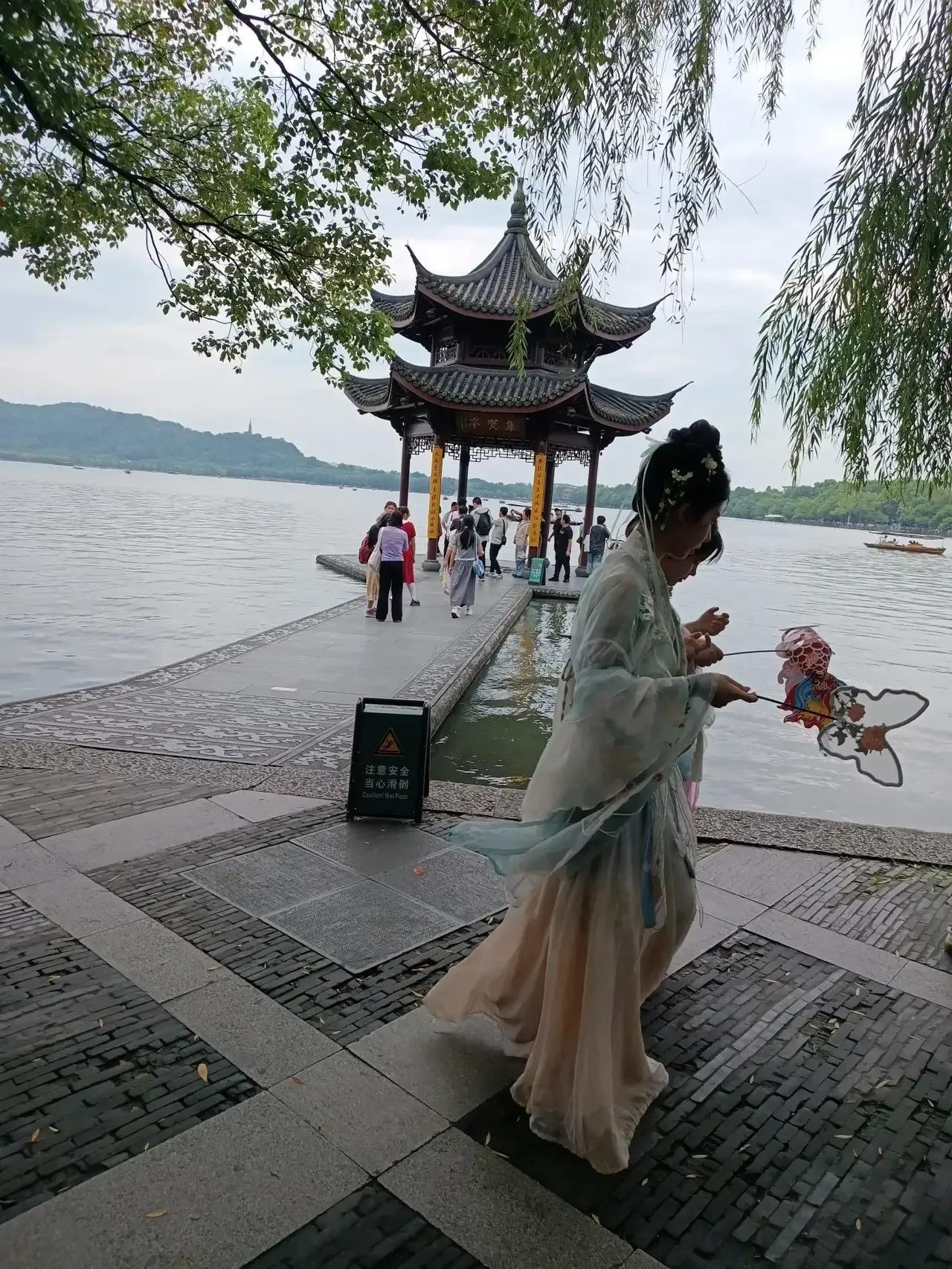 欲寻夏景请来杭州西湖，看美景，观赏荷花，巧成画，夏里的美好，总不会负有心的人！