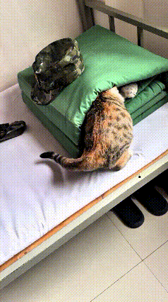 班长刚进门，一眼瞅见新兵的豆腐块被子鼓囊囊的，以为叠得不合格，伸手一掀，好家伙！