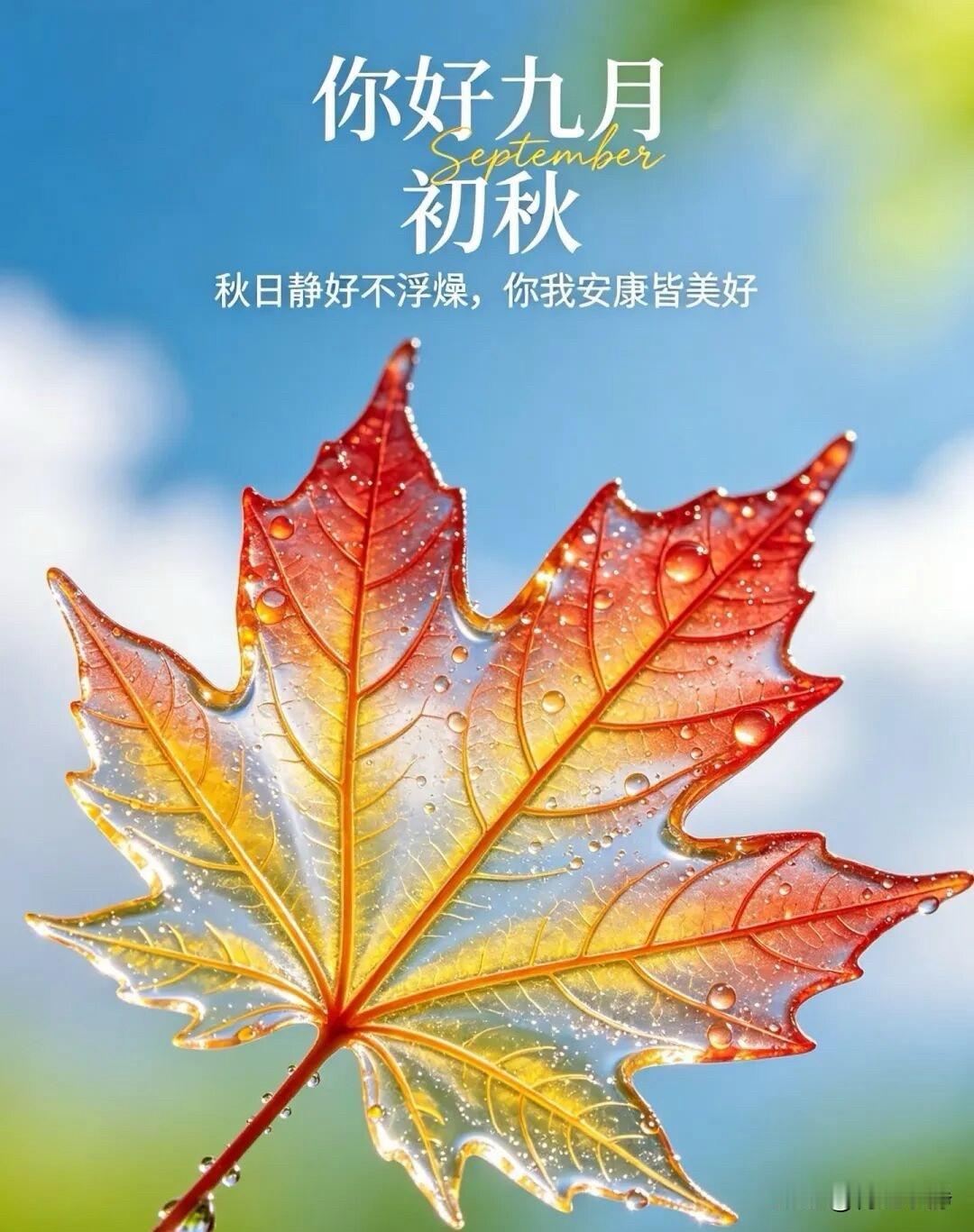🌙🍂²º²⁶/₀₉.₀₁☀️ᴹᴼᴿᴺᴵᴺᴳ🌿☕️🍒🍑九月新月启，秋风