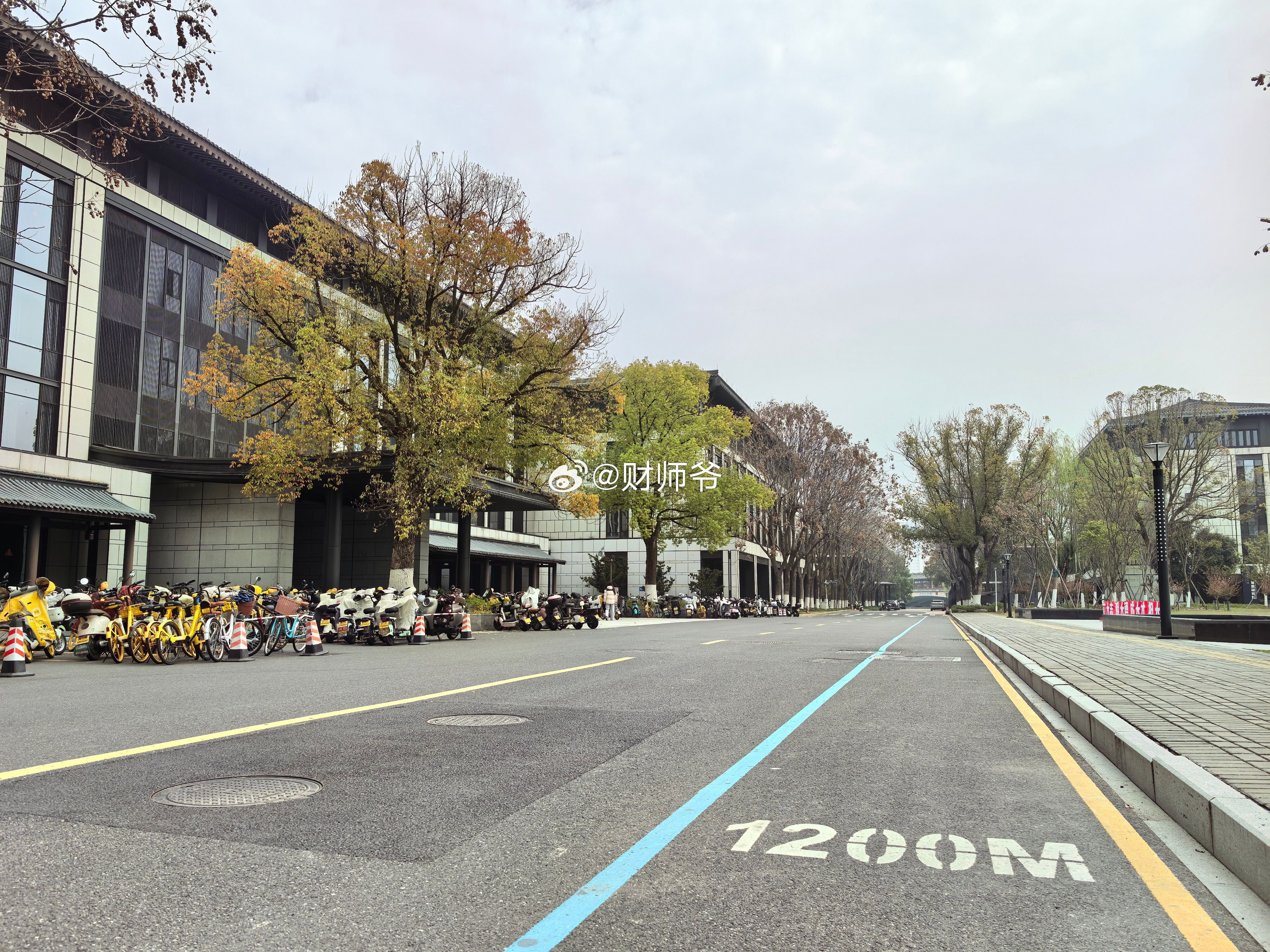 作为绍兴人，这一刻，我们都泪目了，等了整整30年！欢迎全国各地的学子们报考绍兴大