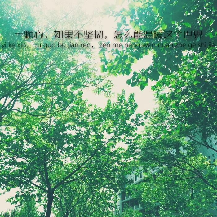 我想, 这时光一点也不甜。
