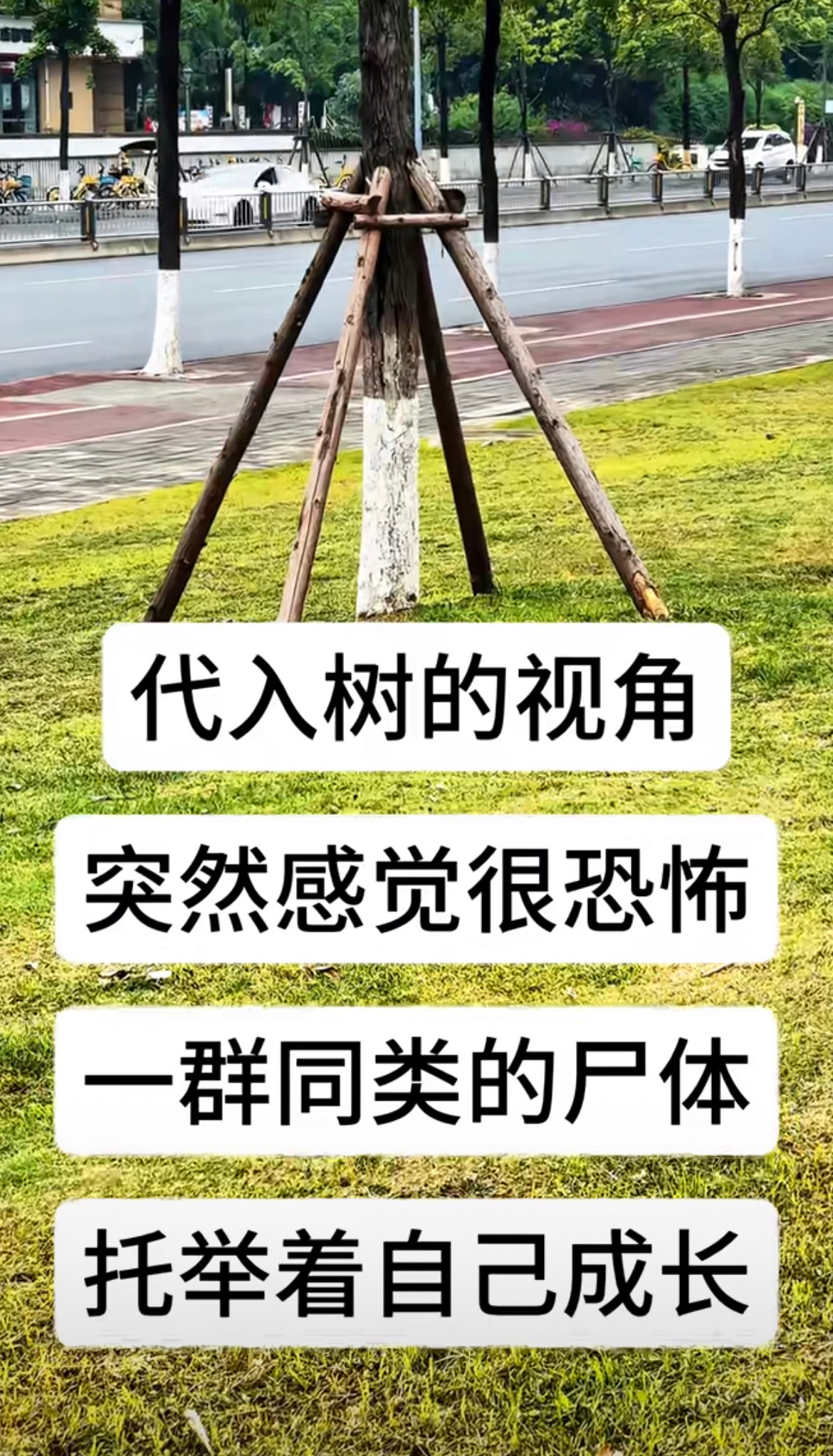 代入树的视角突然感觉很恐怖。