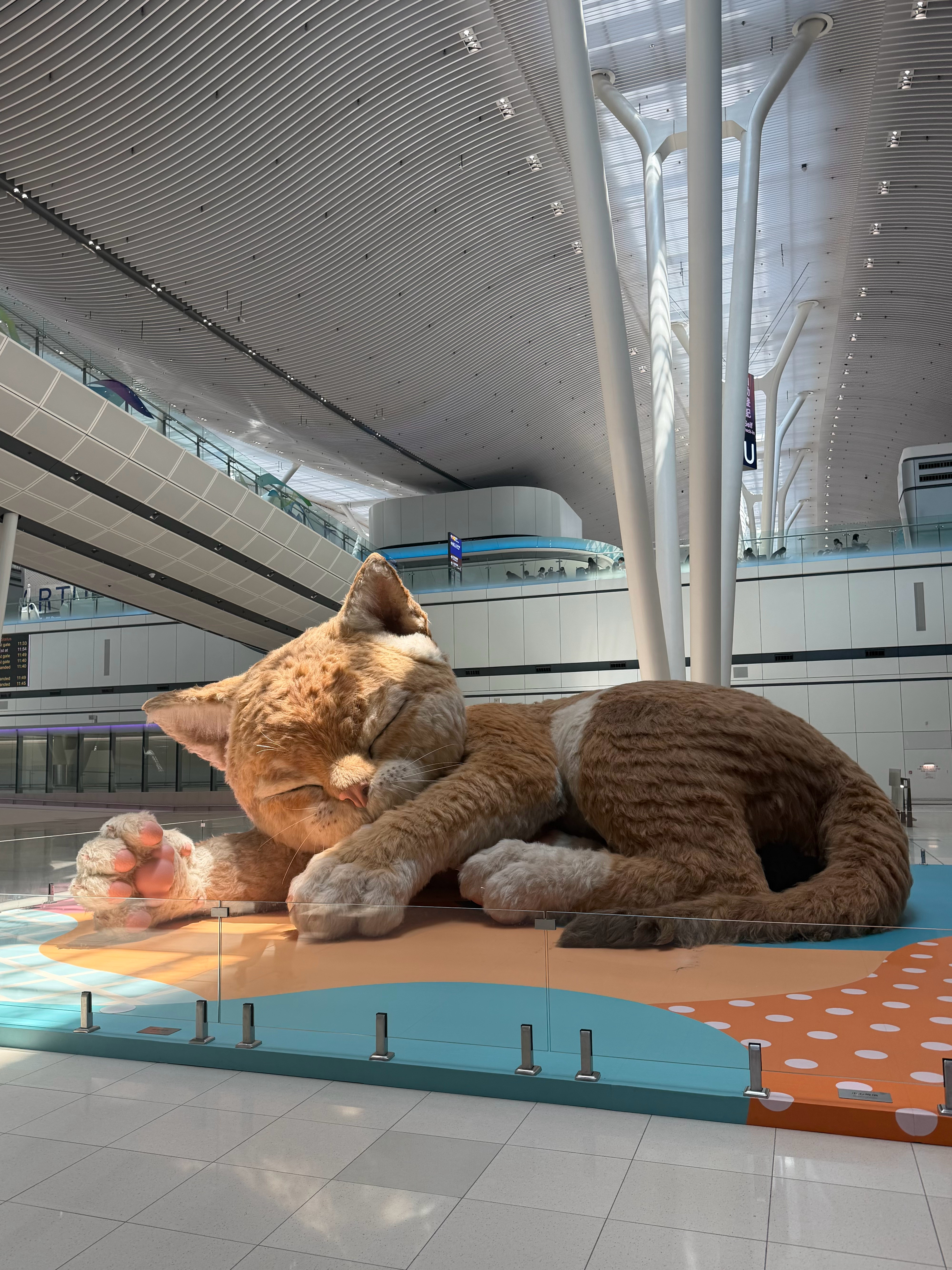 这下两个人是真在香港了香港