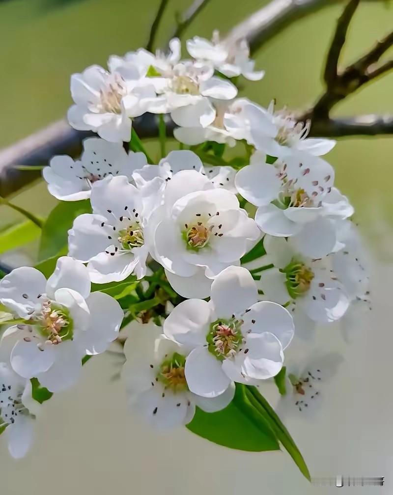 阶级斗争理论诞生于一百多年前，而人类文明史已经几千年。此前你来我往的矛盾、冲突、