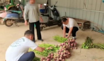 “丢人丢大发了！”6月11日，云南某5A级景区发布消息，称发现一个偷偷采摘荷花的