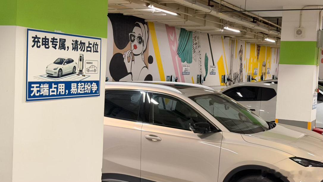 可恨是可恨，但有时候真的没它办法…充电车位都是完全靠自觉或者可以靠地锁…但，我也
