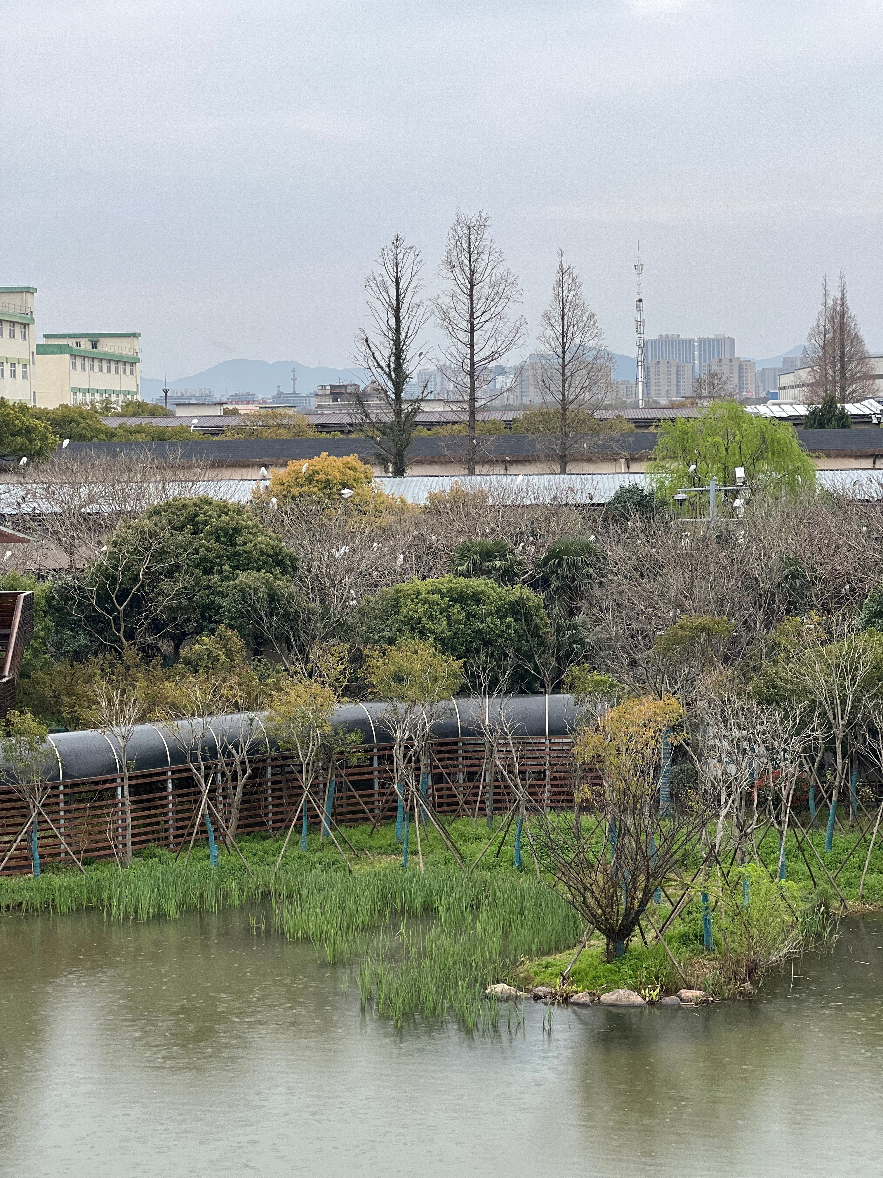 在没有来到宁波镇海炼化之前，我一直以为化工厂是脏乱、刺鼻、灰蒙蒙的，但当我下车得