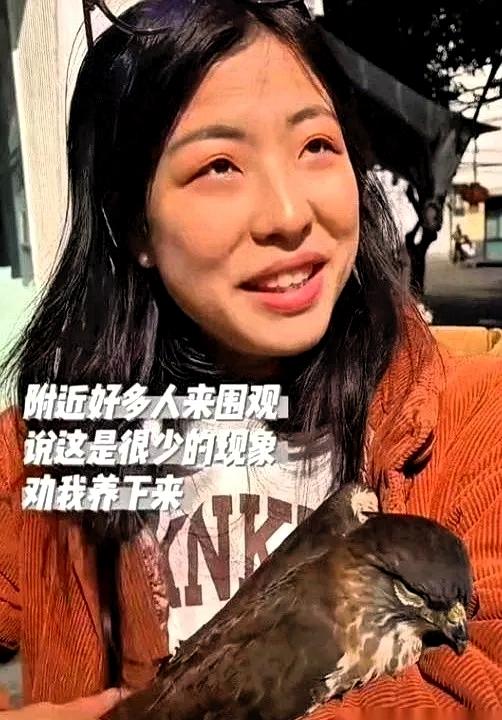 四川那个被猛禽“碰瓷”的大姐火了，都说她温柔，但没人注意，她脚边那只家猫，当时的