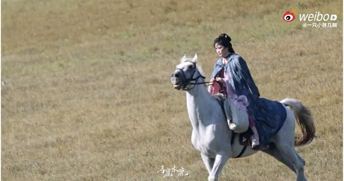 白鹿英姿飒爽具像化了白鹿这波骑马戏直接封神了！单手持缰，驭马而行，那股自信与洒