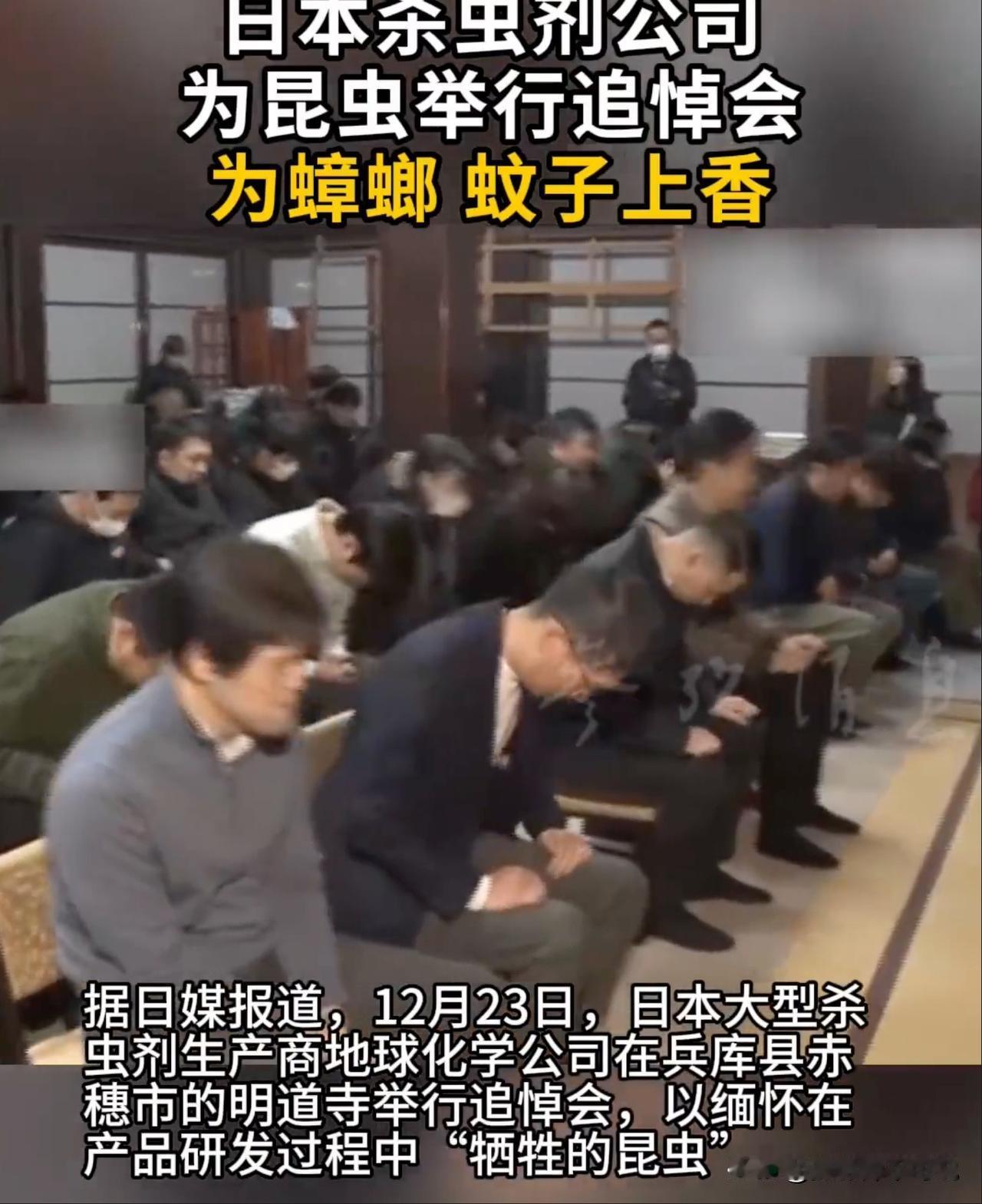 日本人的伪善面具又又又被展现出来了，什么叫虚伪、什么叫假仁假义，这个就是！事情是